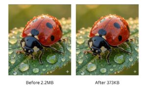 how to make a png file smaller before and after