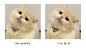 compress jpg without losing quality - before and after comparison