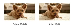 compress webp before and after