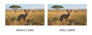 best image format for web JPG vs PNG vs WebP comparison