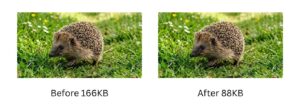 reduce image size for website before and after