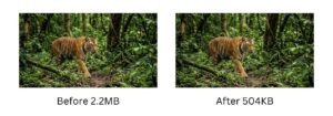 free image compressor online tool