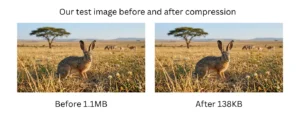 JPG and WebP image compression comparison